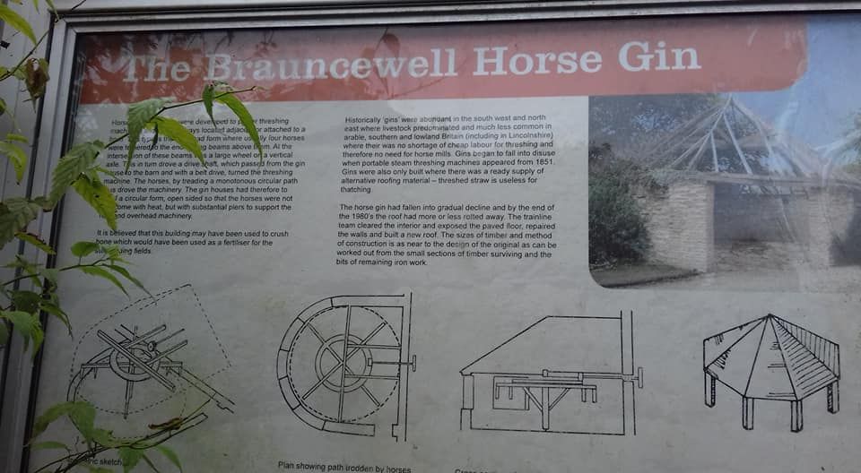 Brauncewell Horse Gin history